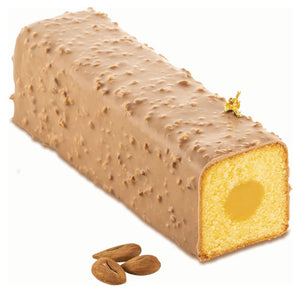 Moule à Cake Kyoto 800 avec insert tube - Silikomart